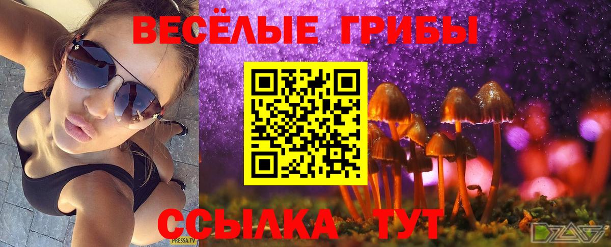 Новочебоксарск  даркнет сайт  Вход с VPN  Псилоцибиновые грибы прущие грибы 